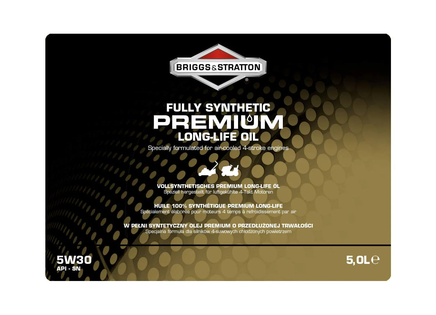 Briggs & Stratton 100009S 4-Stroke 5W30 Long-Life Synthetic Engine Oil, 5.0 Litre, Noir