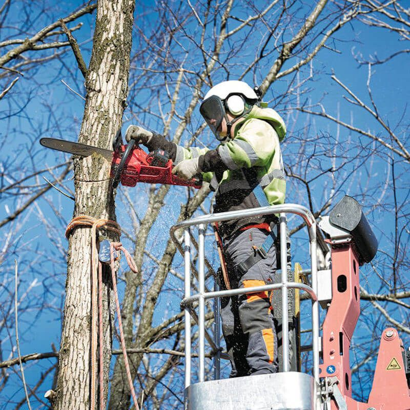 MILWAUKEE M18FCHS-503 M18 FUEL CHAINSAW