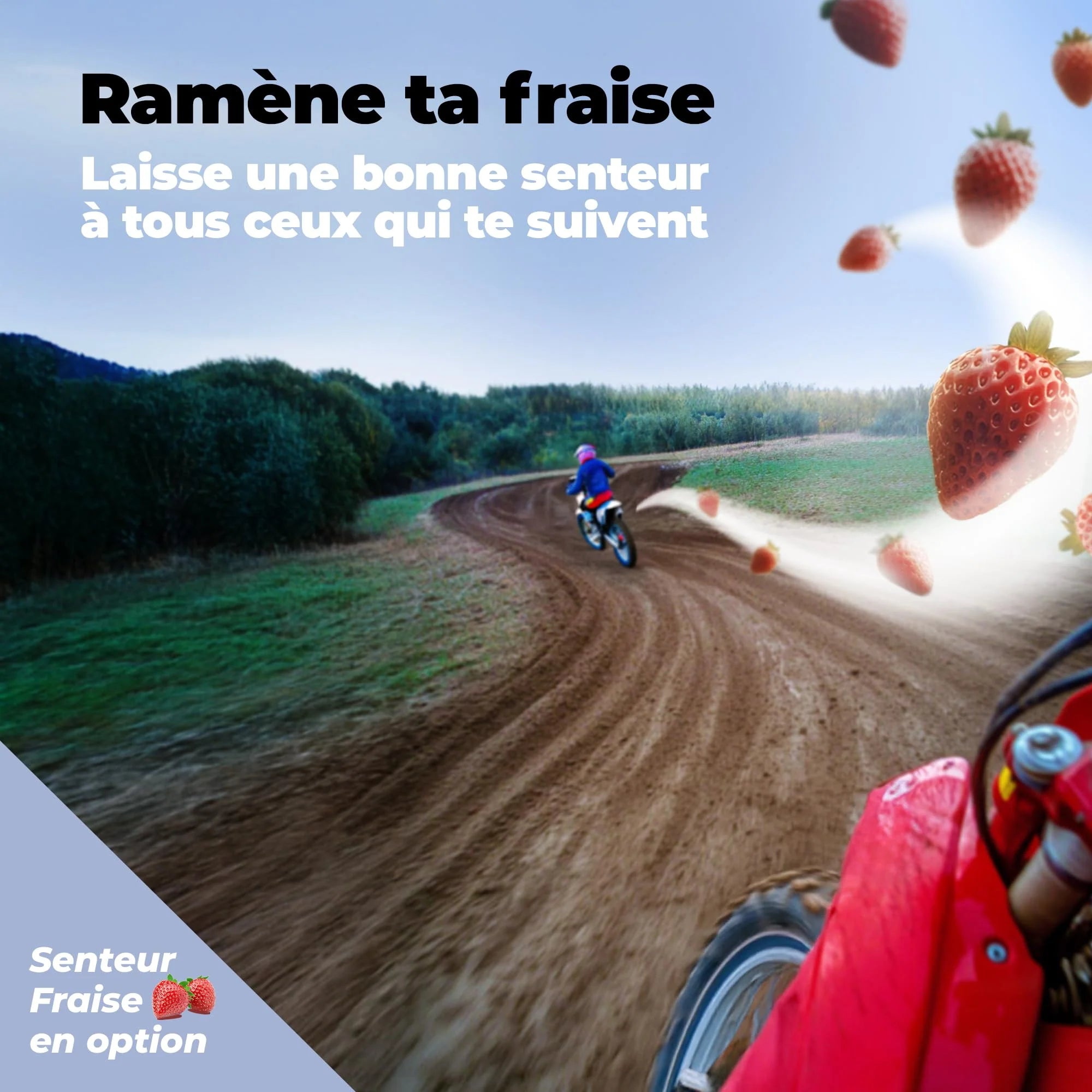 IPONE - Huile Moteur Moto 2 Temps Samouraï Racing - 100 % Synthétique avec Esters - Très Haute Performance – Compatible Mélange, Graissage Séparé, Systèmes d'injection - Bidon 5L dont 1L Offert